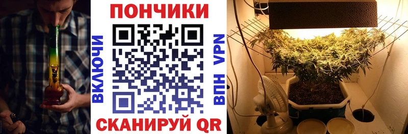 Шишки марихуана сатива  где купить наркотик  Кириши 
